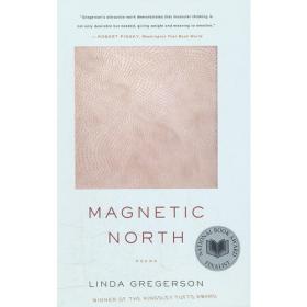 Magnetic Point: Selected Poems