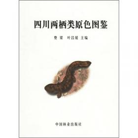 中国两栖动物及其分布彩色图鉴