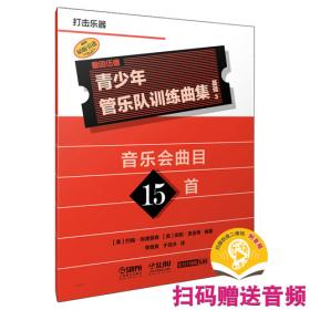 青少年心理辅导方略 大夏书系