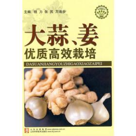 大蒜加工实用技术/“四川省产业脱贫攻坚·农产品加工实用技术”丛书