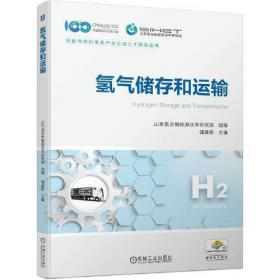氢气生产及热化学利用/21世纪可持续能源丛书
