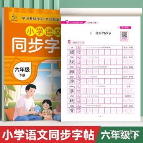 小学数学教学新论