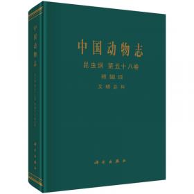 中国动物志：昆虫纲（第六十五卷 双翅目 鹬虻科 伪鹬虻科）