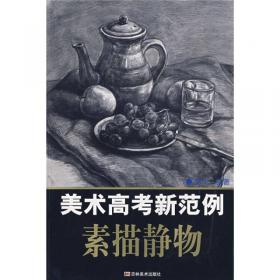 素描静物：美术技法标准范本强化训练