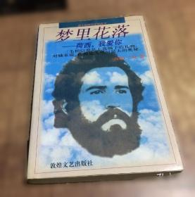 梦里梦外探红楼