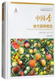 无花果高效栽培与加工利用——新兴水果栽培技术丛书