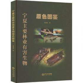 宁夏文物考古研究所丛刊：固原九龙山汉唐墓葬