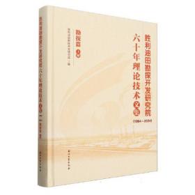 胜利油田勘探开发研究院六十年理论技术文集 勘探篇