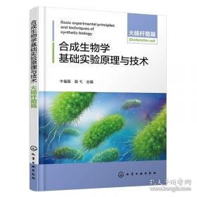 合成洗涤剂生产工艺