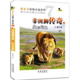非洲狮2：王者之路