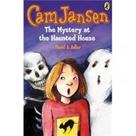 CAM Jansen The Mystery of the U.F.O. #2