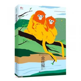 金丝猴/中国的珍稀动物