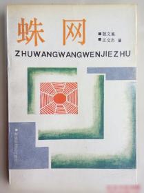 蛛网资本主义 全球精英如何从新兴市场攫取利益