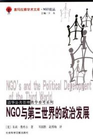 NGO领导、策略与管理：理论与操作