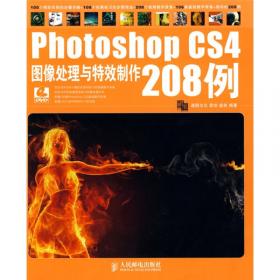 Photoshop CS2印象质感与纹理技术精粹