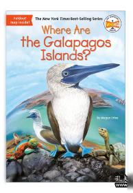 Who Was William Shakespeare?