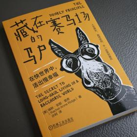 藏在编程里的思维力