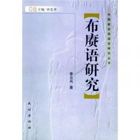 拉基语研究——中国新发现语言研究丛书