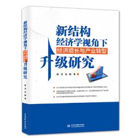 新结构经济学视角下区域经济高质量发展和产业升级(新结构经济学研究联盟丛书)