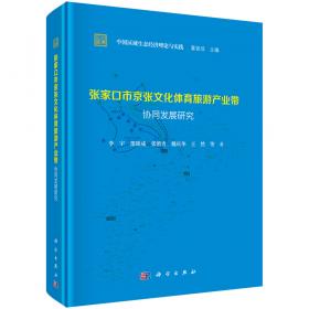定兴县京南生态卫星城智慧城市发展研究