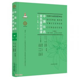 中国壮医药丛书：中国壮医学
