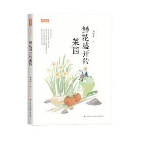 愤怒的石头/第七届小小说金麻雀获奖作品