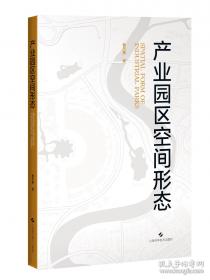 产业政策的选择及其经济后果