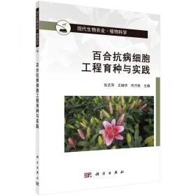 百合花开/民国通俗小说典藏文库
