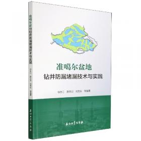 准噶尔盆地玛湖凹陷二叠-三叠系砂砾岩储层微观特征