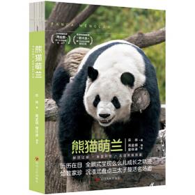熊猫桐桐绘本丛书  一二三，木头人
