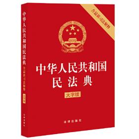 中华人民共和国民法典（含最新司法解释 大字版）