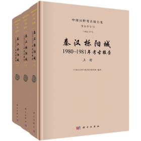 隋唐洛阳城：1959-2001年考古发掘报告