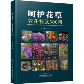 社会主义市场经济法制研究:纪念中山大学法律学系重建15周年论文集