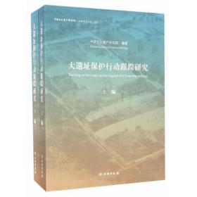 中国文化遗产研究院优秀文物保护项目成果集