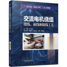 交流电机绕组的嵌装与接线——电工实用技术丛书