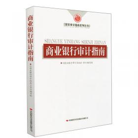 企业审计指南/国家审计指南系列丛书