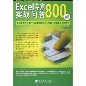 Excel 公司表格设计高级范例