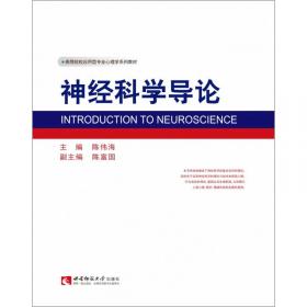 乐业天坑