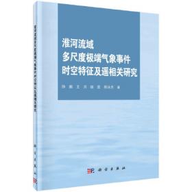 淮河中游洪涝问题与对策(“淮河洪涝治理”系列专著)