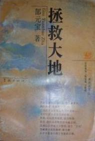 汉语别史：中国新文学的语言问题（增订本）