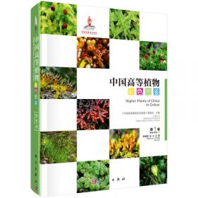 中国高等植物彩色图鉴  第四卷 被子植物 罂粟科—毒鼠子科