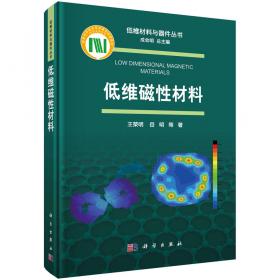 低维光电纳米材料技术与应用（陈勇）