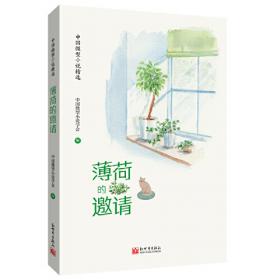 中国微型小说精选（英）