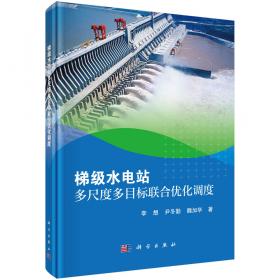 梯级水电站联合调度运行技术