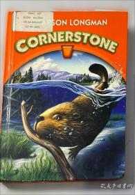 oxford advanced learners dictionary