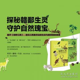 绿野仙踪：精校百回批注（上下）