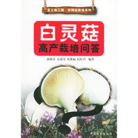 白灵菇人工栽培与加工