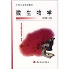 反腐败与中国廉洁政治建设研究报告（VI）