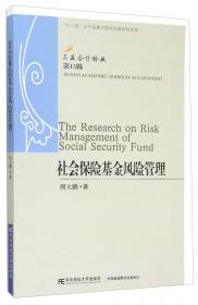 ERP系统实施风险管理研究（第9辑）