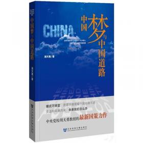 艰难的复兴：中国21世纪国际战略